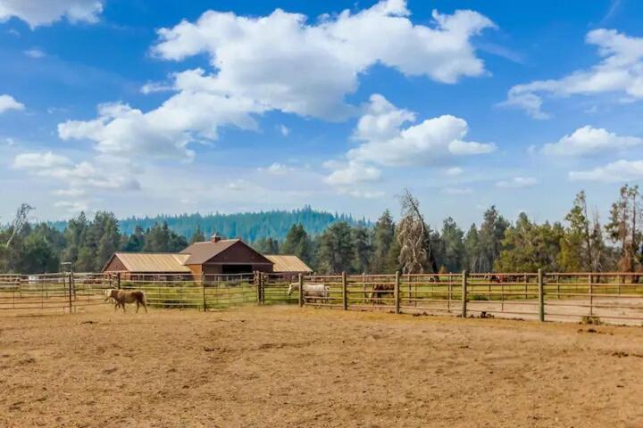 Mt. Bachelor & Sun River Get Away بيند المظهر الخارجي الصورة