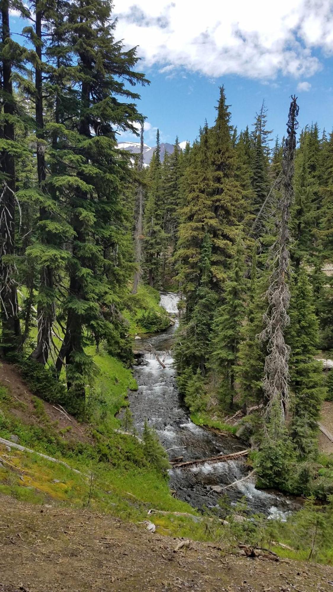 Mt. Bachelor & Sun River Get Away بيند المظهر الخارجي الصورة
